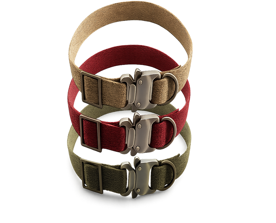 Dog Collars