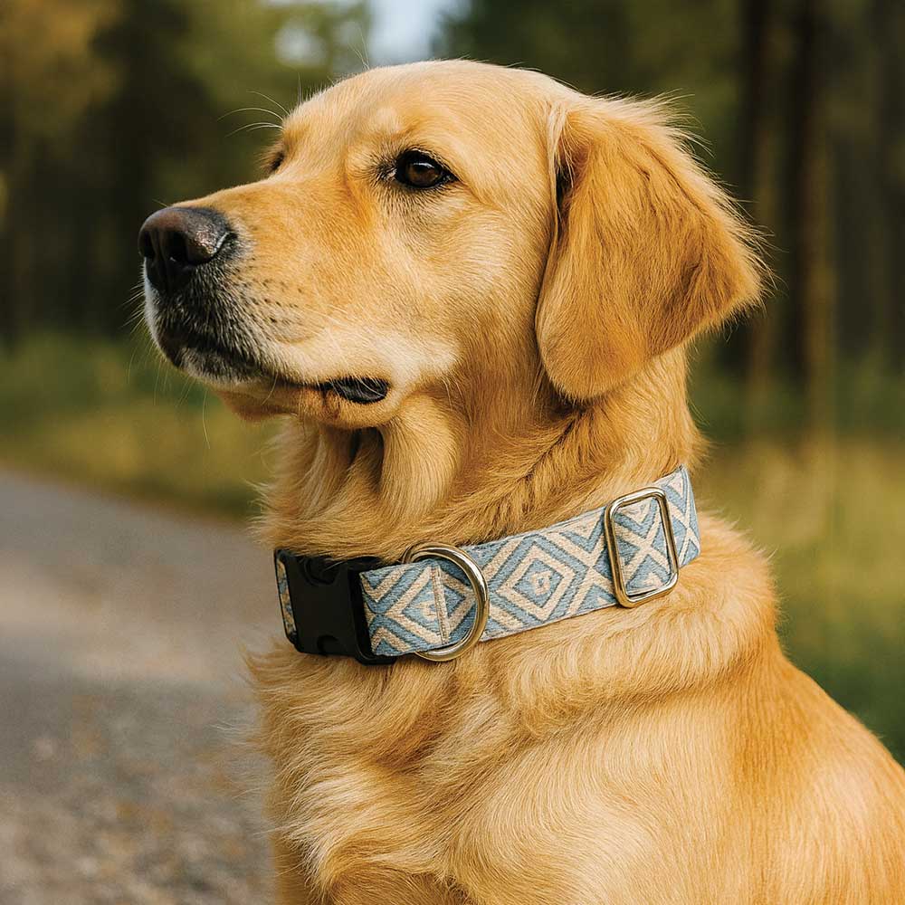 Dog Collars